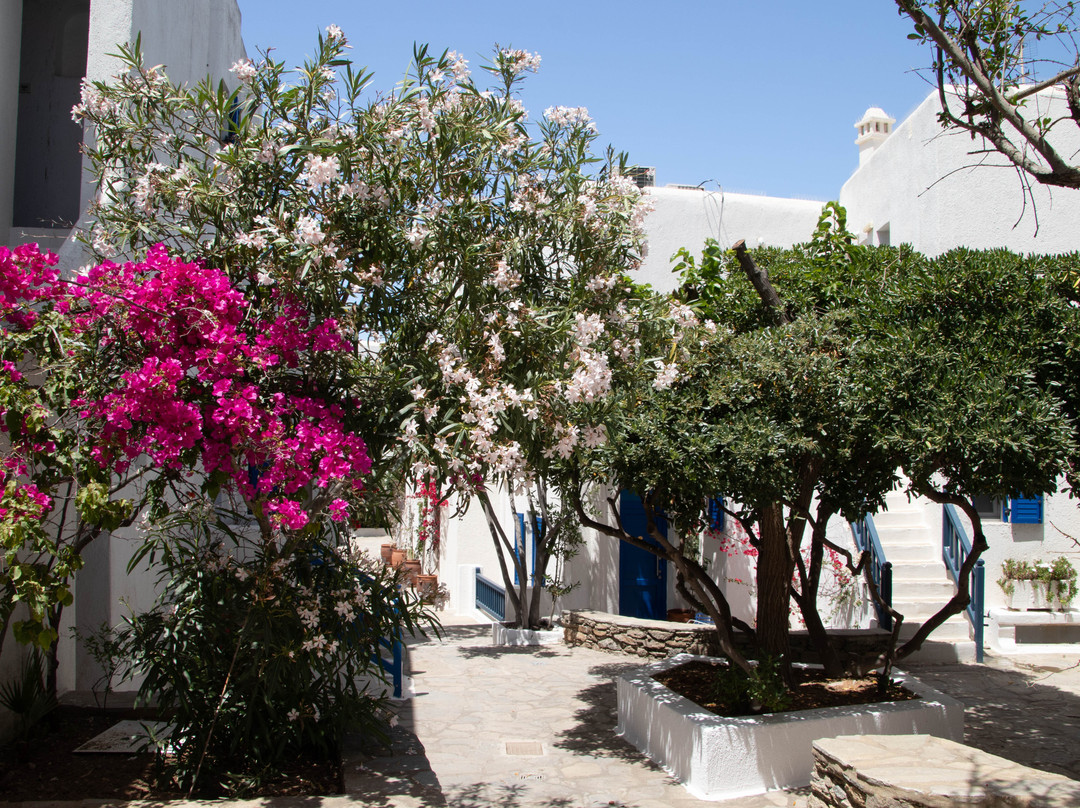 Andromeda Residence主图