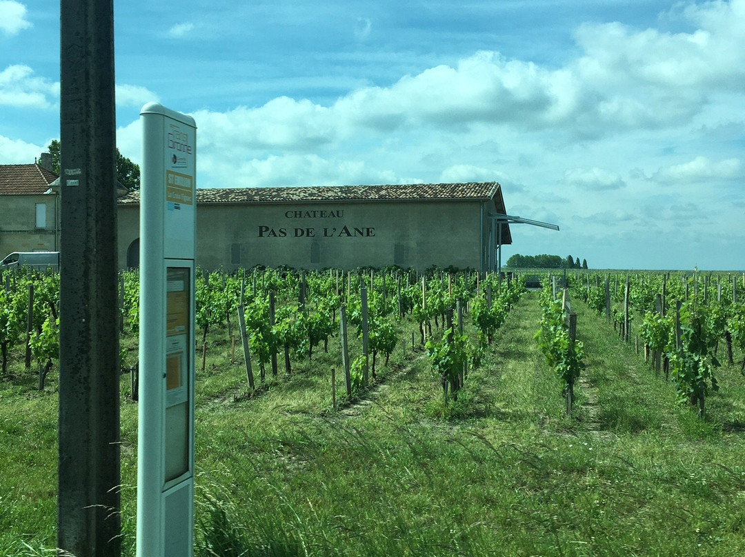 Château Pas de l'Ane景点图片