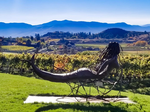 Upper End Wine Tours-基洛纳必去景点