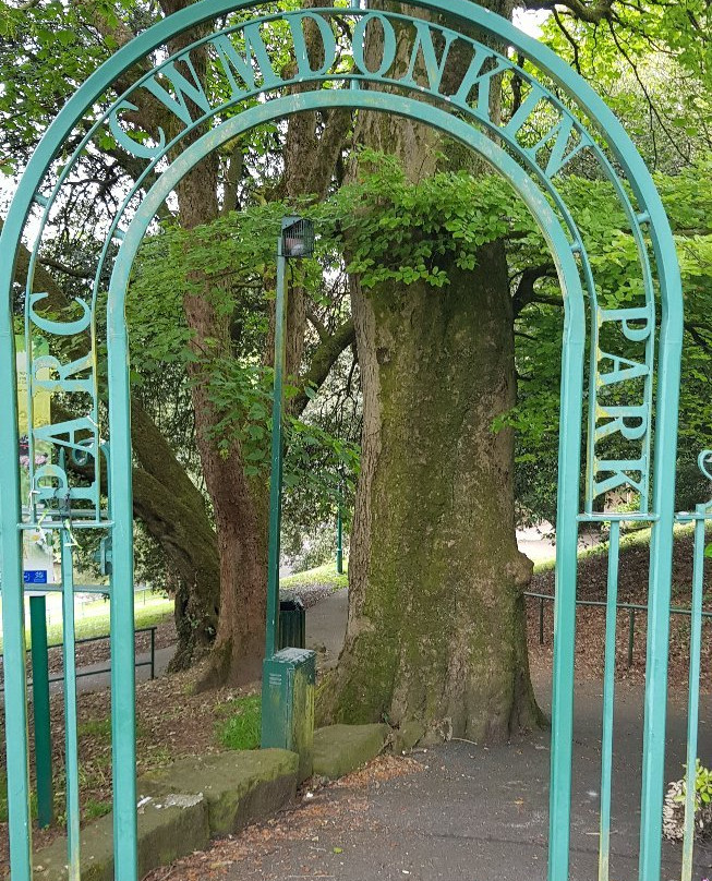 Cwmdonkin Park景点图片