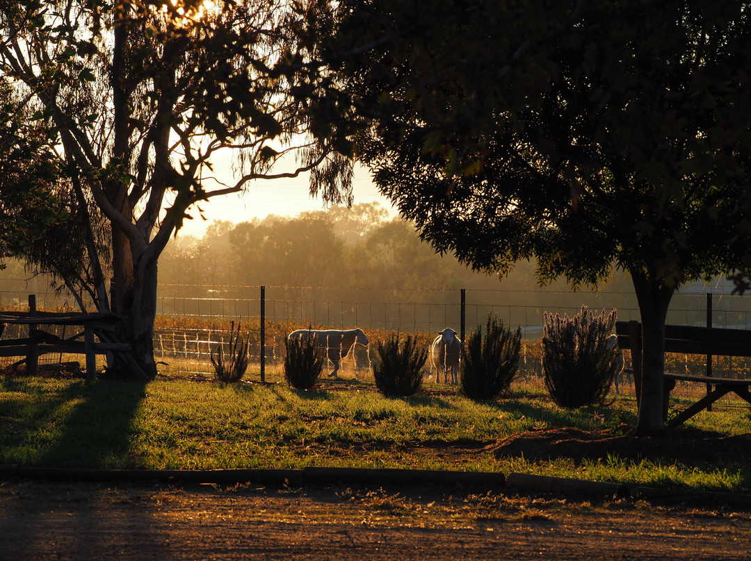 葡萄园汽车旅馆主图