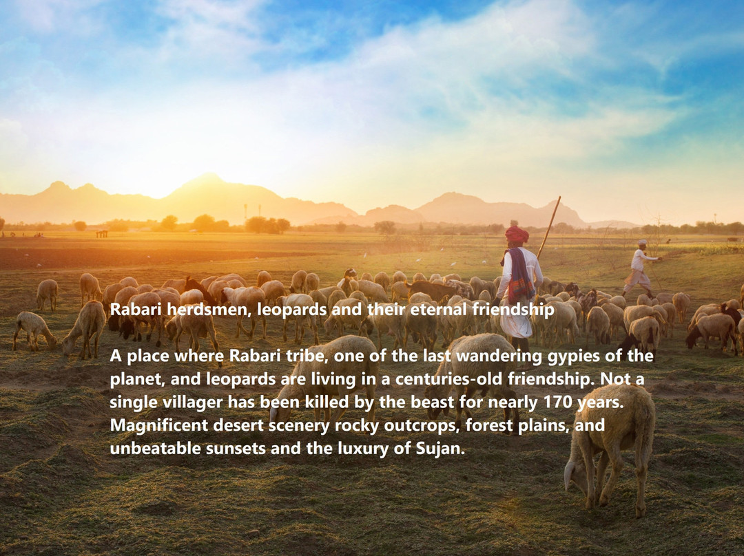 Abby & Scout Tours-斋蒲尔必去景点