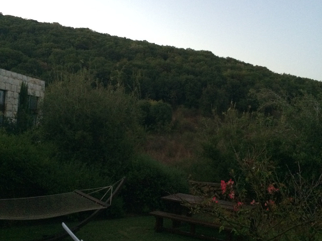 Hamakom Suites主图