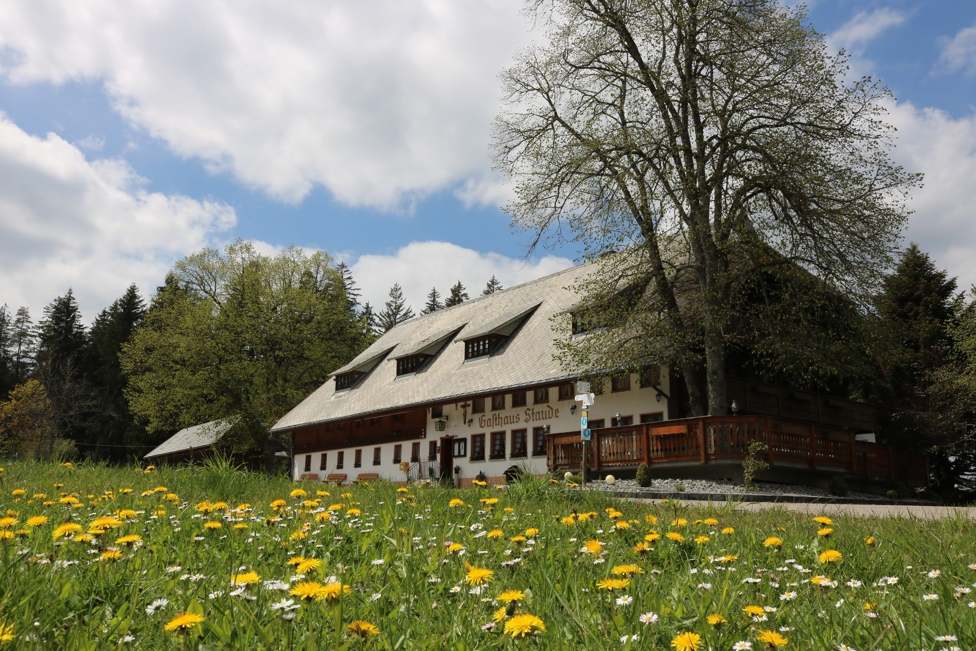 Gasthaus Staude-官方