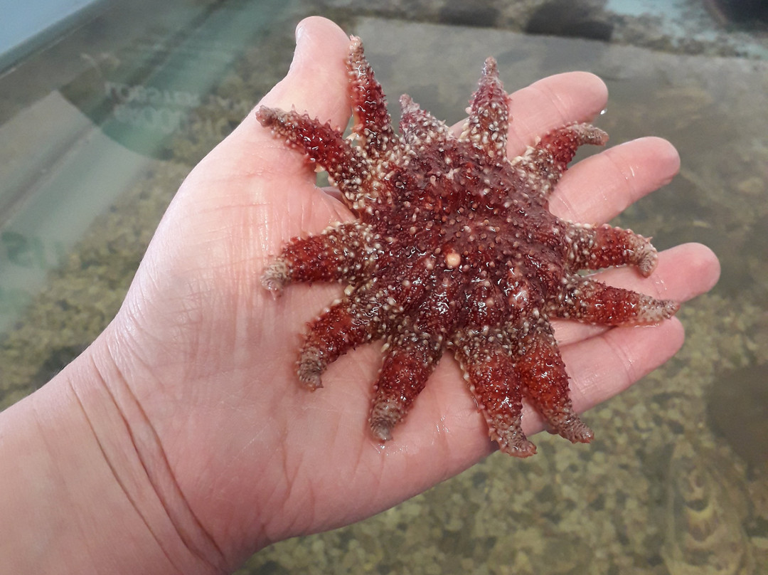 Seascope Hatchery-Kilkeel必去景点