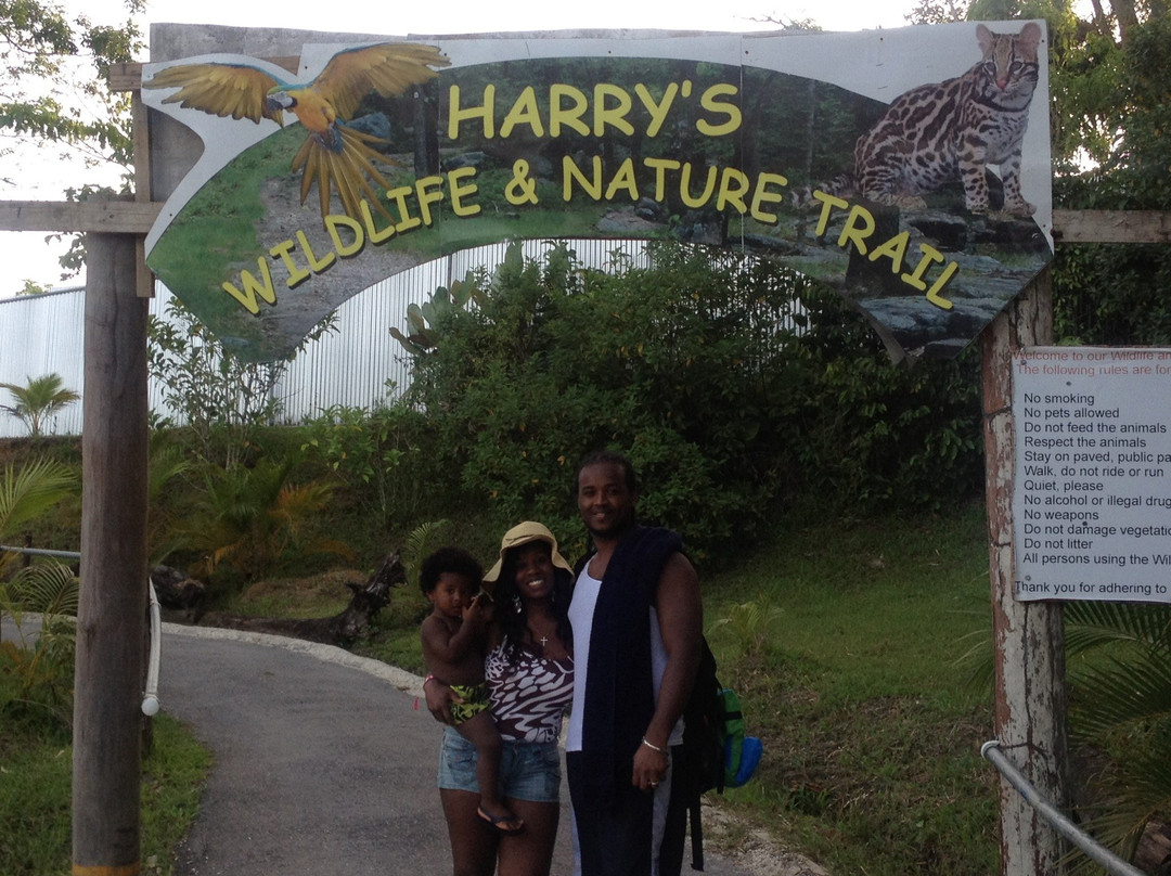Harry's Water Park-Tabaquite必去景点