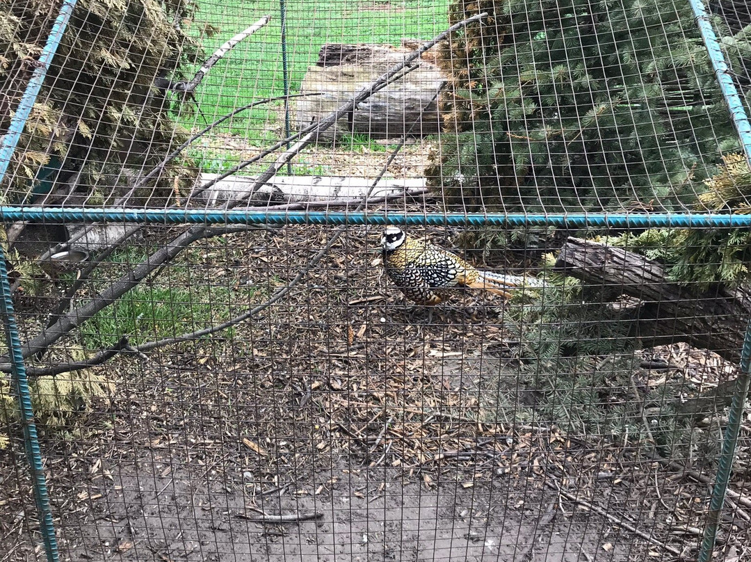 Lutsk Zoo-Lutsk必去景点