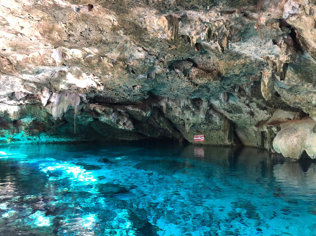 Cenotes Dos Ojos景点图片