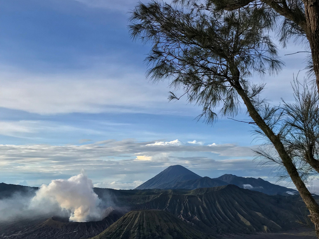 Bromo Authentic Tours景点图片