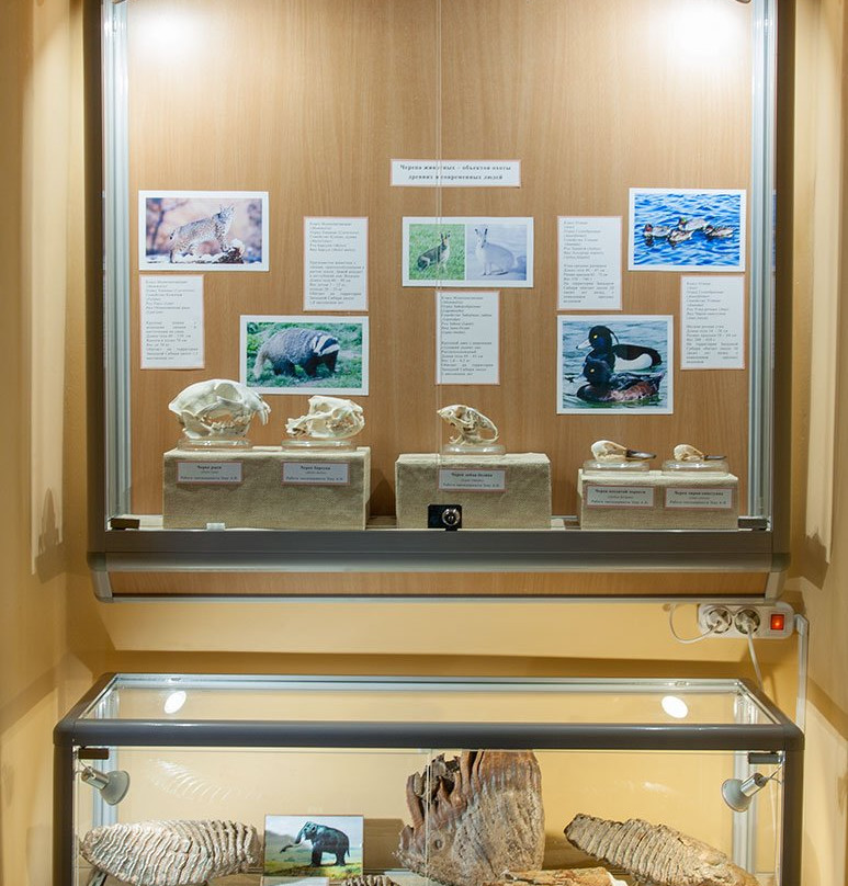 Omsk Museum of Education-鄂木斯克必去景点