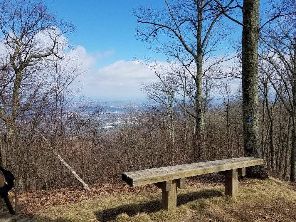 Buffalo Mountain Park-约翰逊城必去景点
