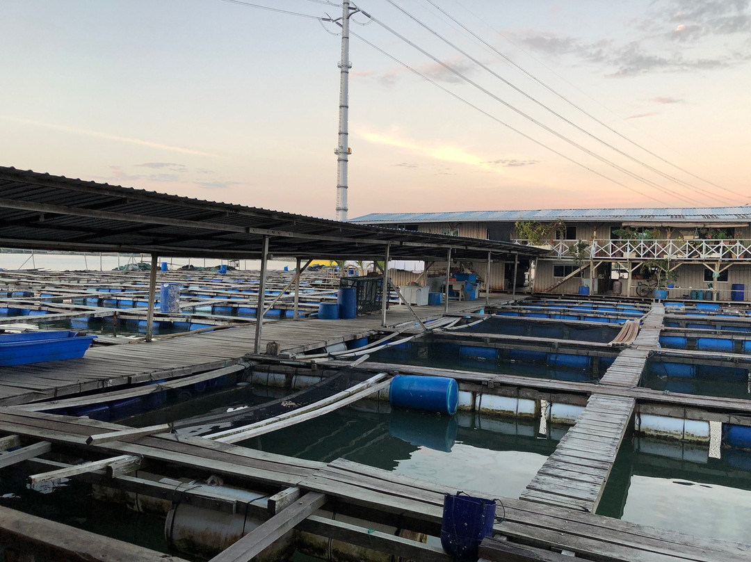 Poseidon Oysterbay Resort主图