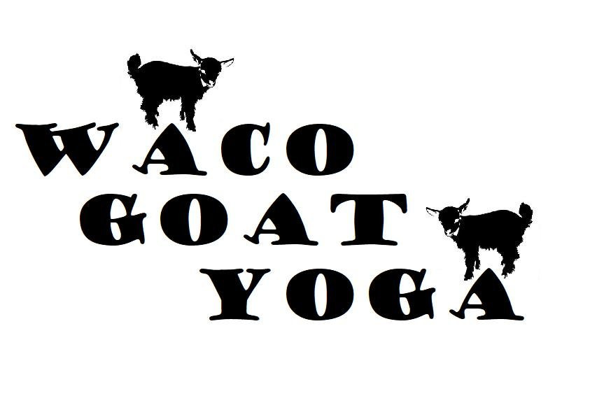 Waco Goat Yoga-韦科必去景点