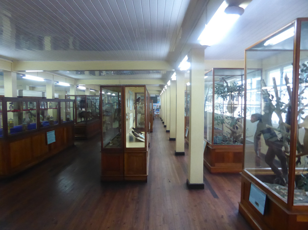 Guyana National Museum景点图片