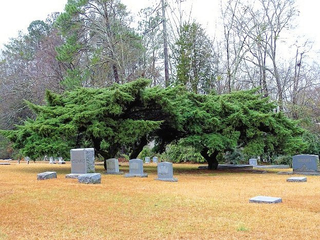 Oak Hill Cemetery-纽南必去景点