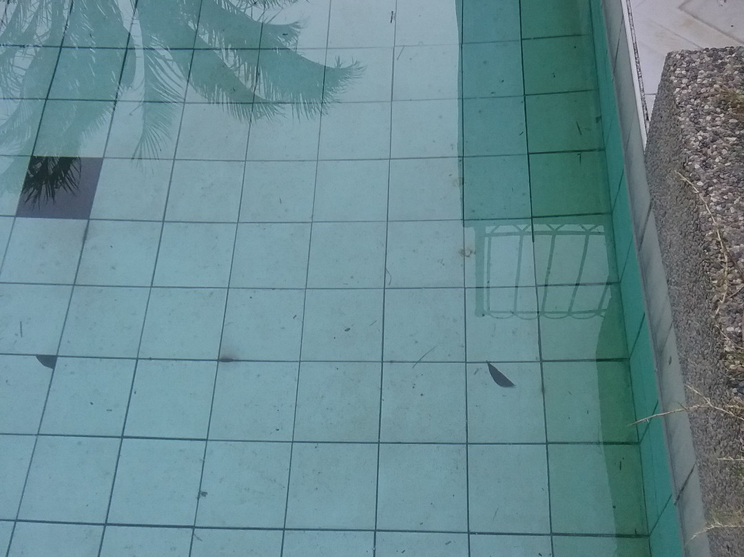 塔利莎绿湖度假村主图