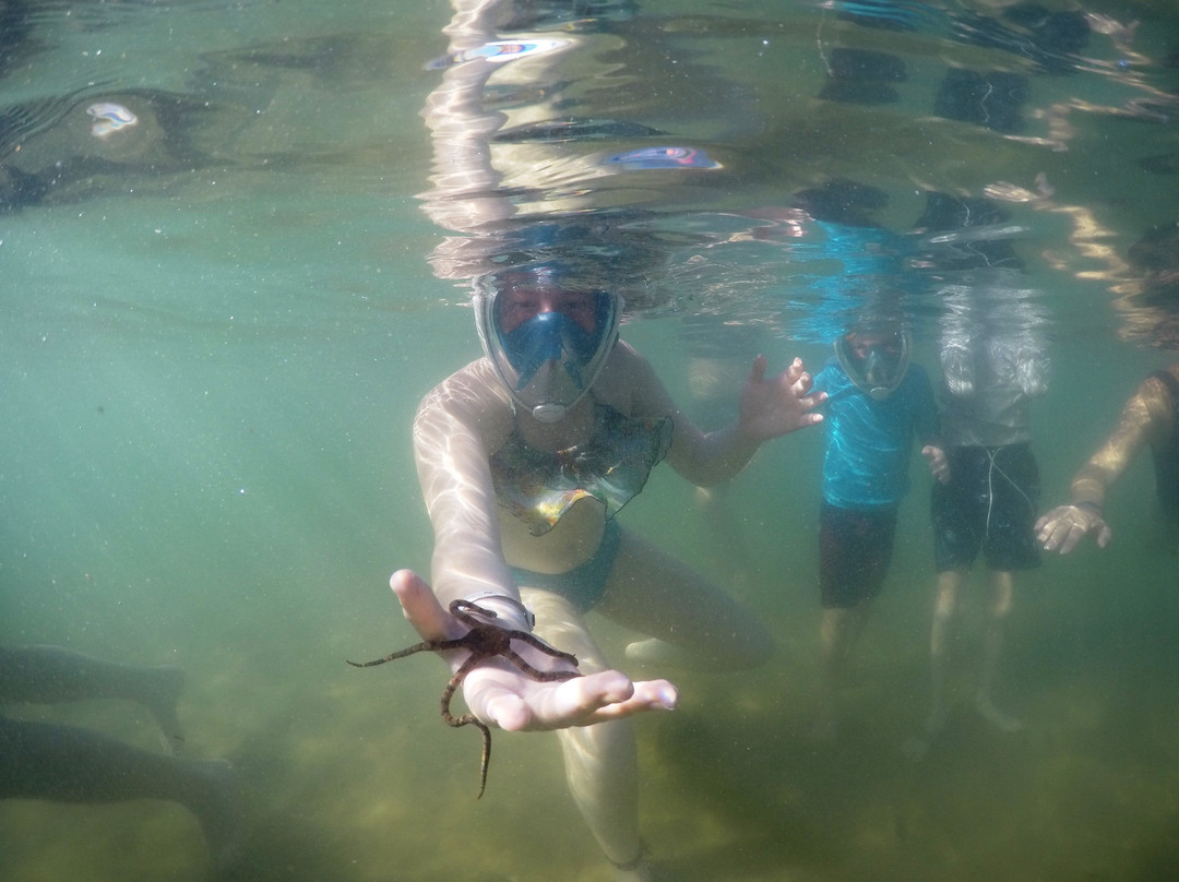 Mergulho Easy-普拉亚多海滩必去景点