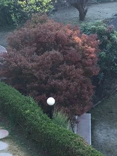 比姆塔尔乡村酒店主图