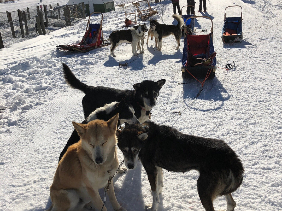 Neilson Chalet Hotel Casale主图