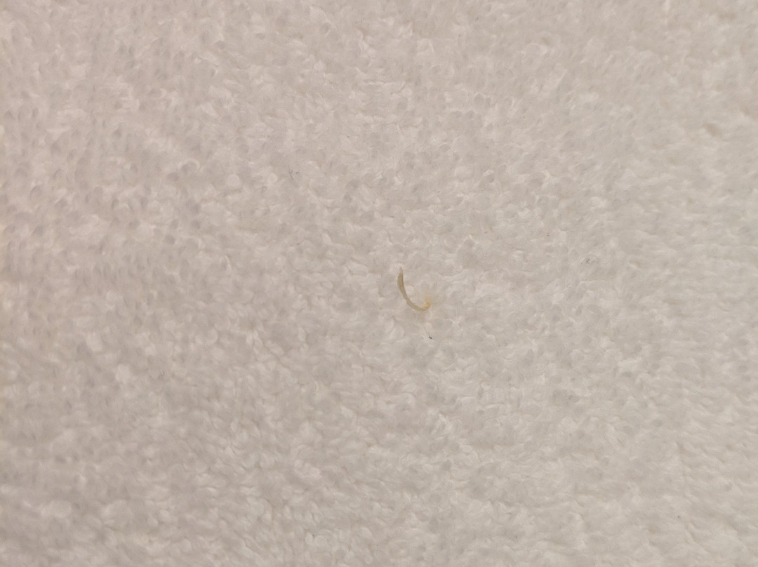 Hampton Inn Milwaukee Northwest主图