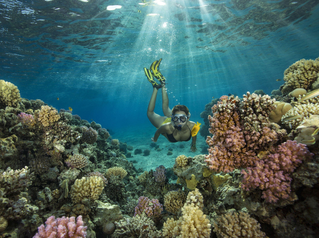 hurghada excursion-赫尔格达必去景点