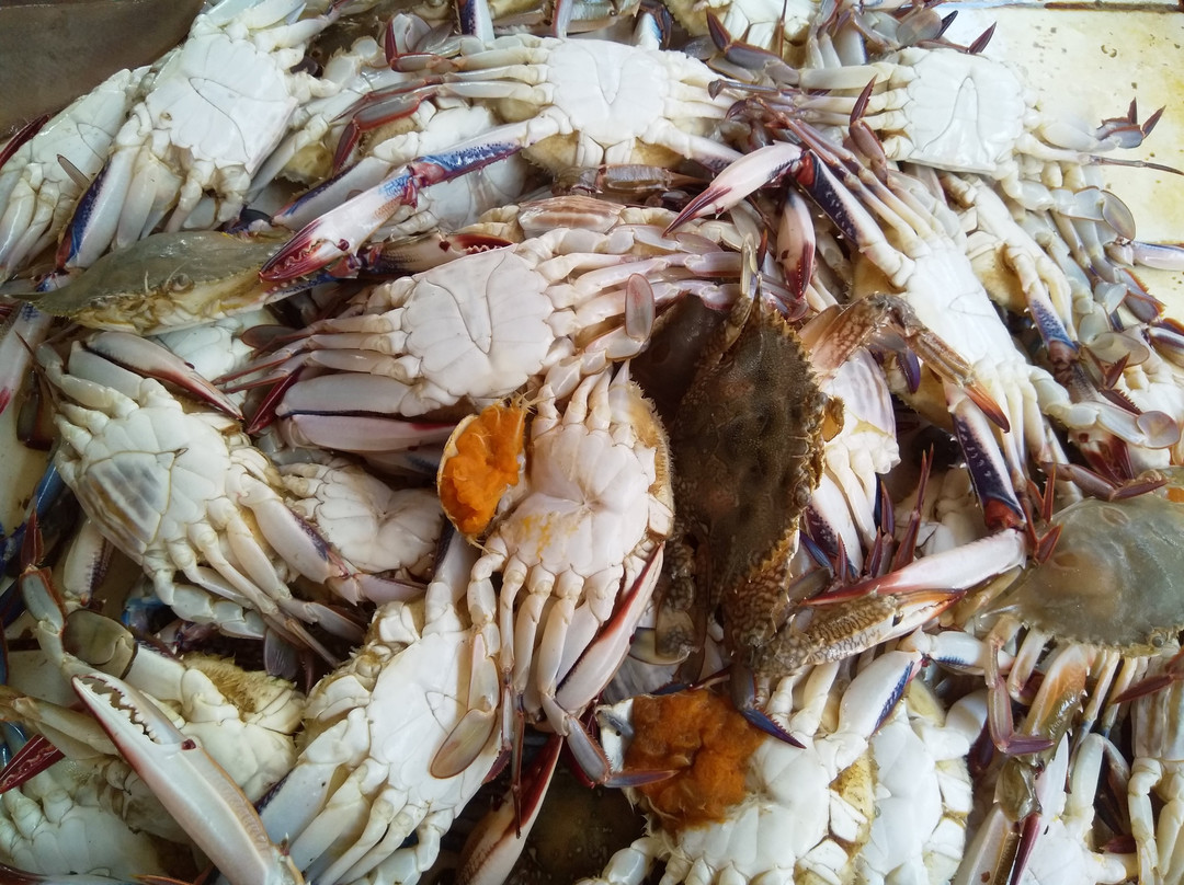Kivukoni Fish Market景点图片