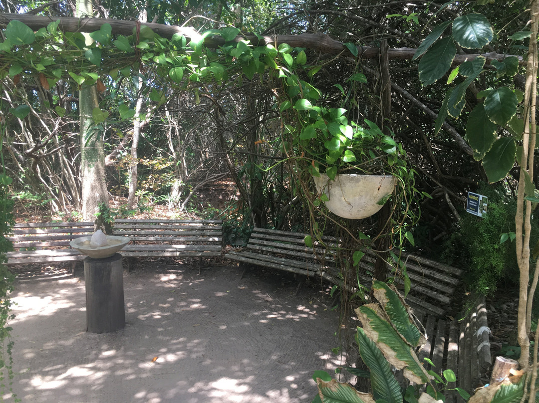 Santuario Ecologico de Pipa景点图片