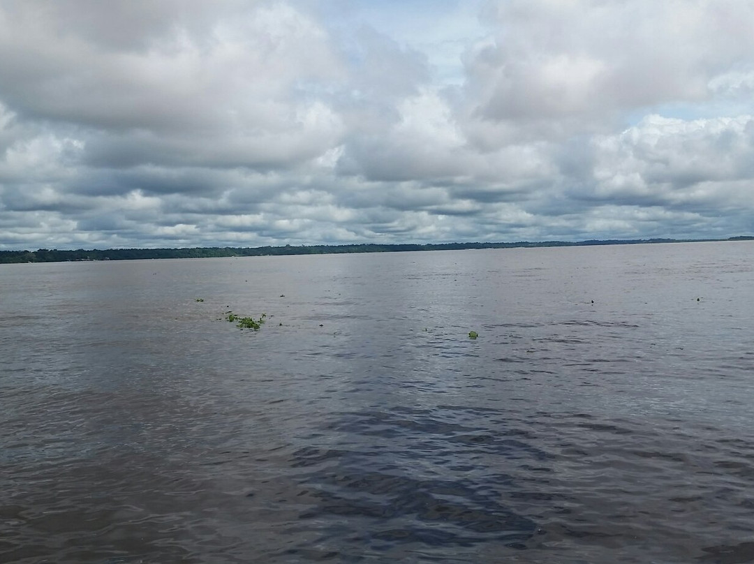 Amazon River景点图片