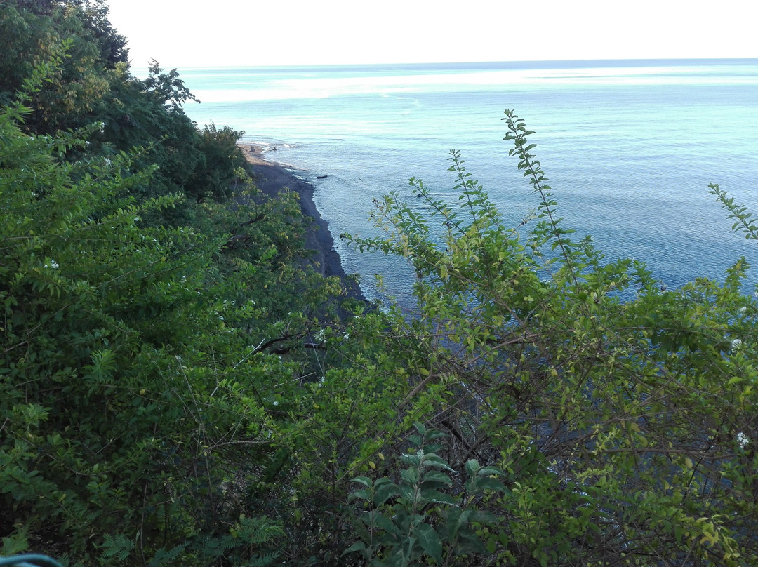 The Tamarind Tree Hotel & Restaurant主图