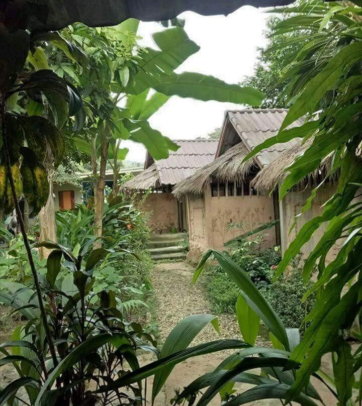 Hill Tribe Art House主图