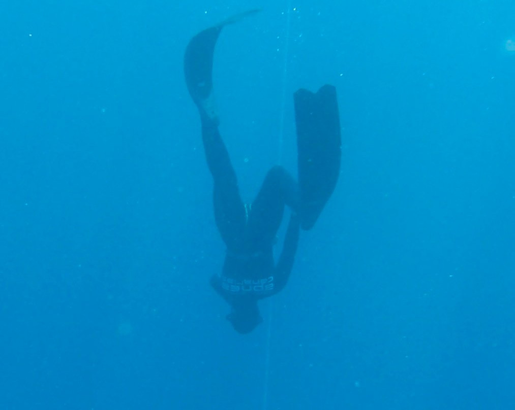 Apnea Canarias Freediving Center景点图片