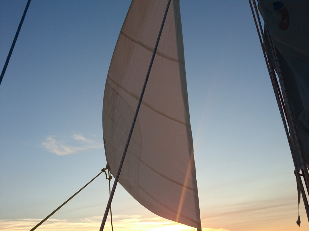 Second Wind Sailing景点图片
