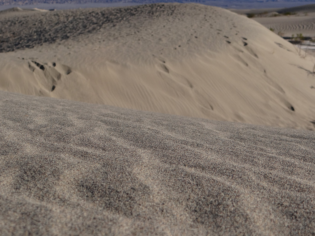 Mesquite Flat Sand Dunes景点图片