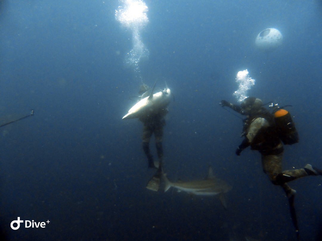 African Watersports-Umkomaas必去景点