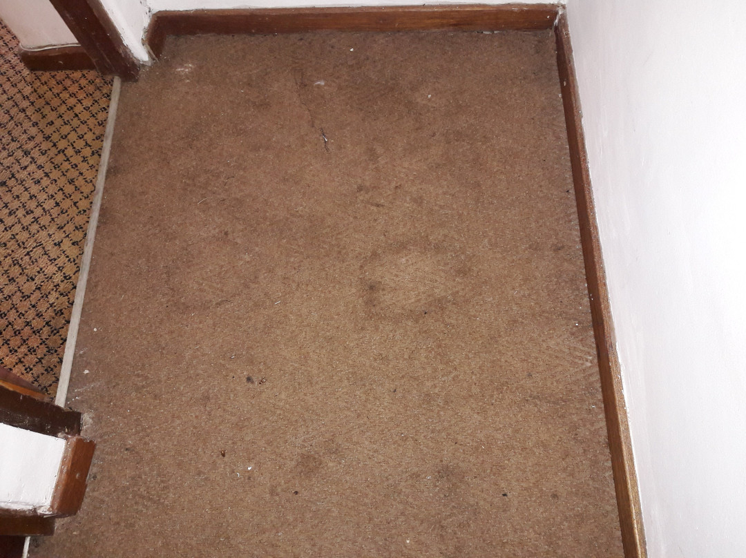 Fern Hill Hotel主图