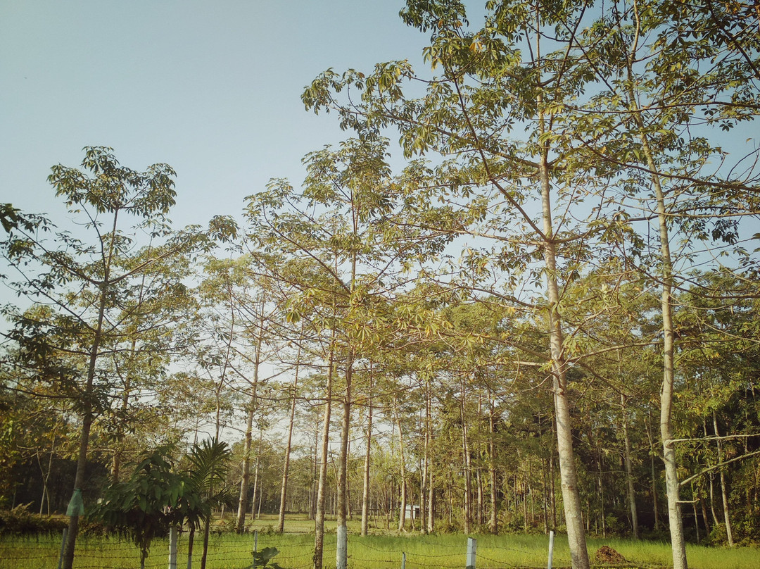 Lokenath Eco Village Resort主图