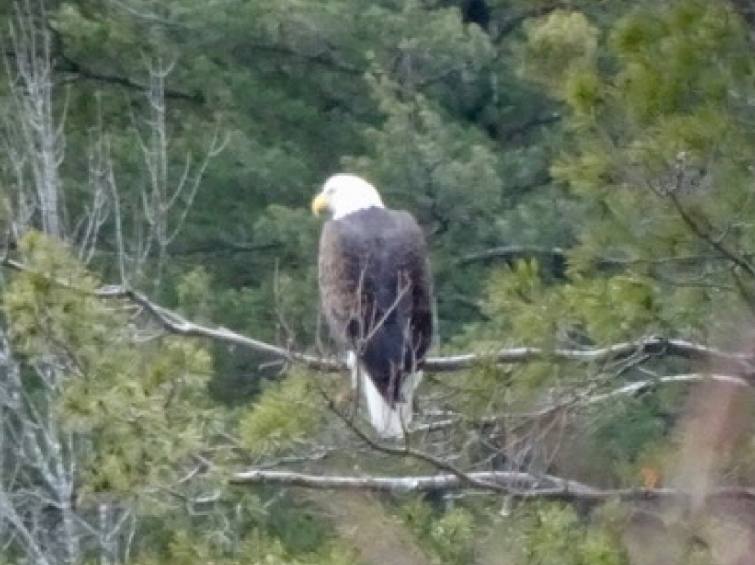 Shelburne Bay Park-谢尔本必去景点