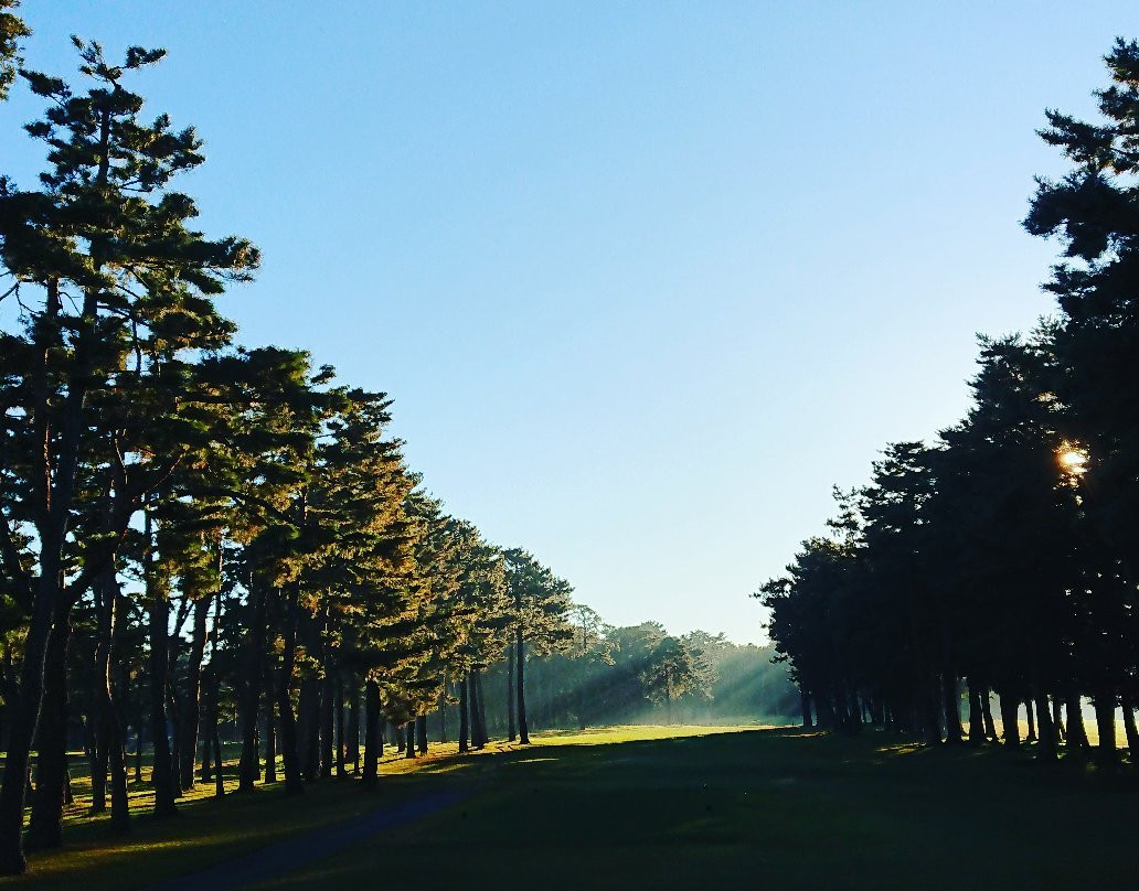 Murasaki Country Club Murasaki Ayame Course-野田市必去景点