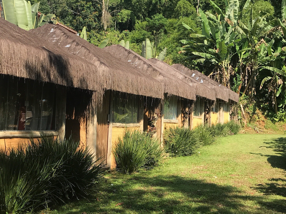 Pantanal旅游攻略图片