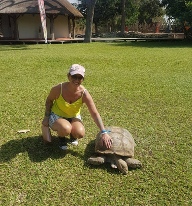 Kotu Horses-Kotu必去景点