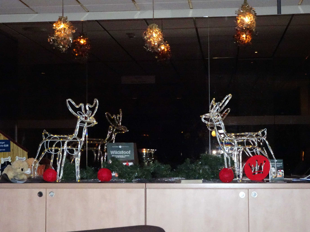 Fletcher Hotel-Restaurant Langewold主图