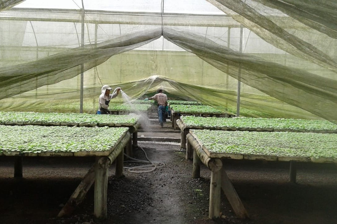 Terra Dannemann-Sao Felix do Paraguassu必去景点