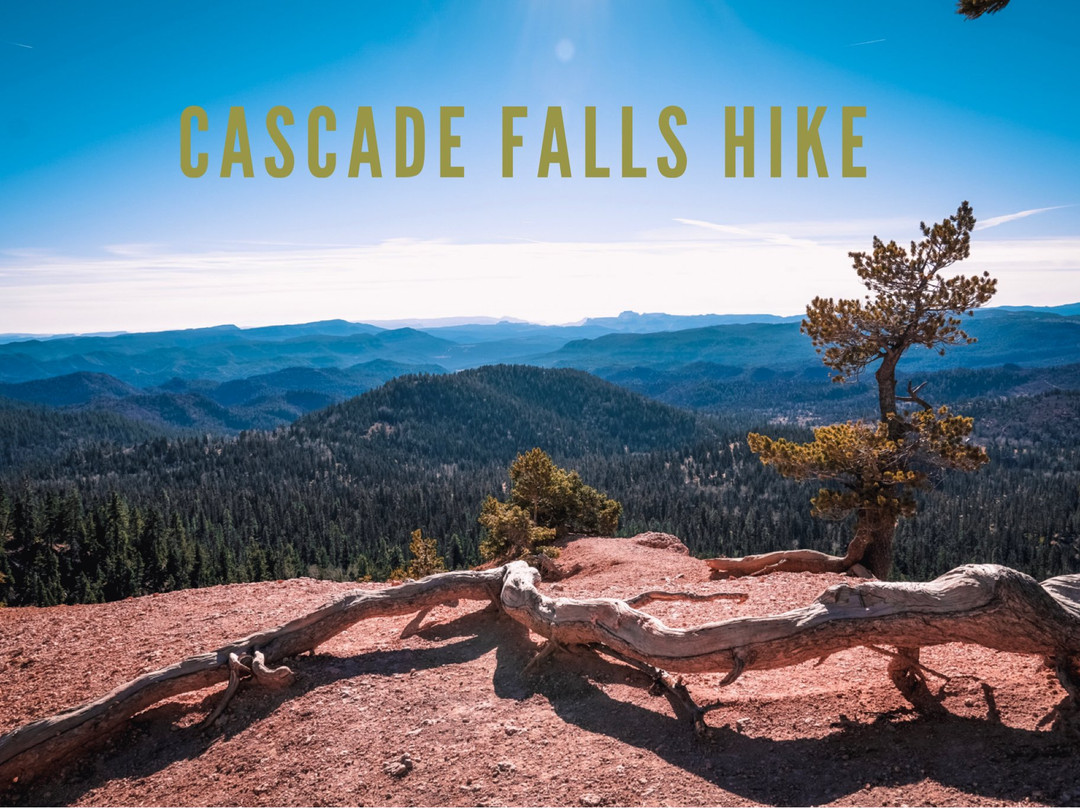 Cascade Falls Trail景点图片