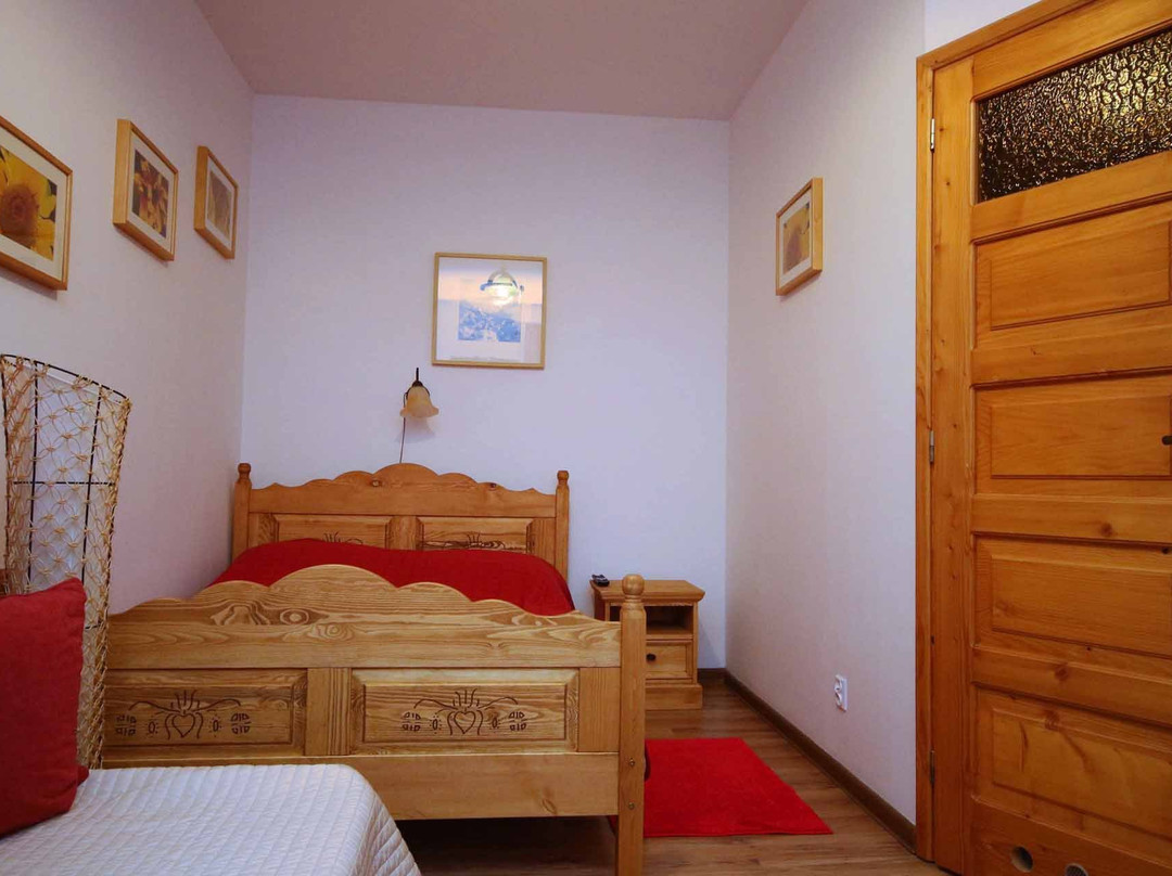 Borsuczyna Guest House主图