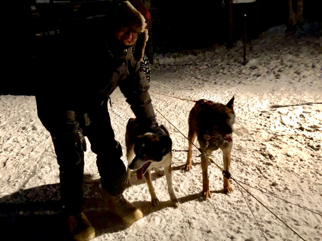 Frisky Pups Bed & Breakfast and Sled Dog Tours-费尔班克斯必去景点