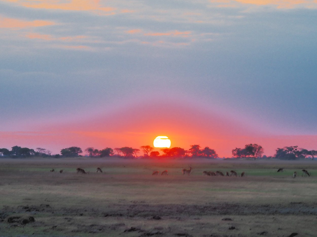 Busanga Plains Camp