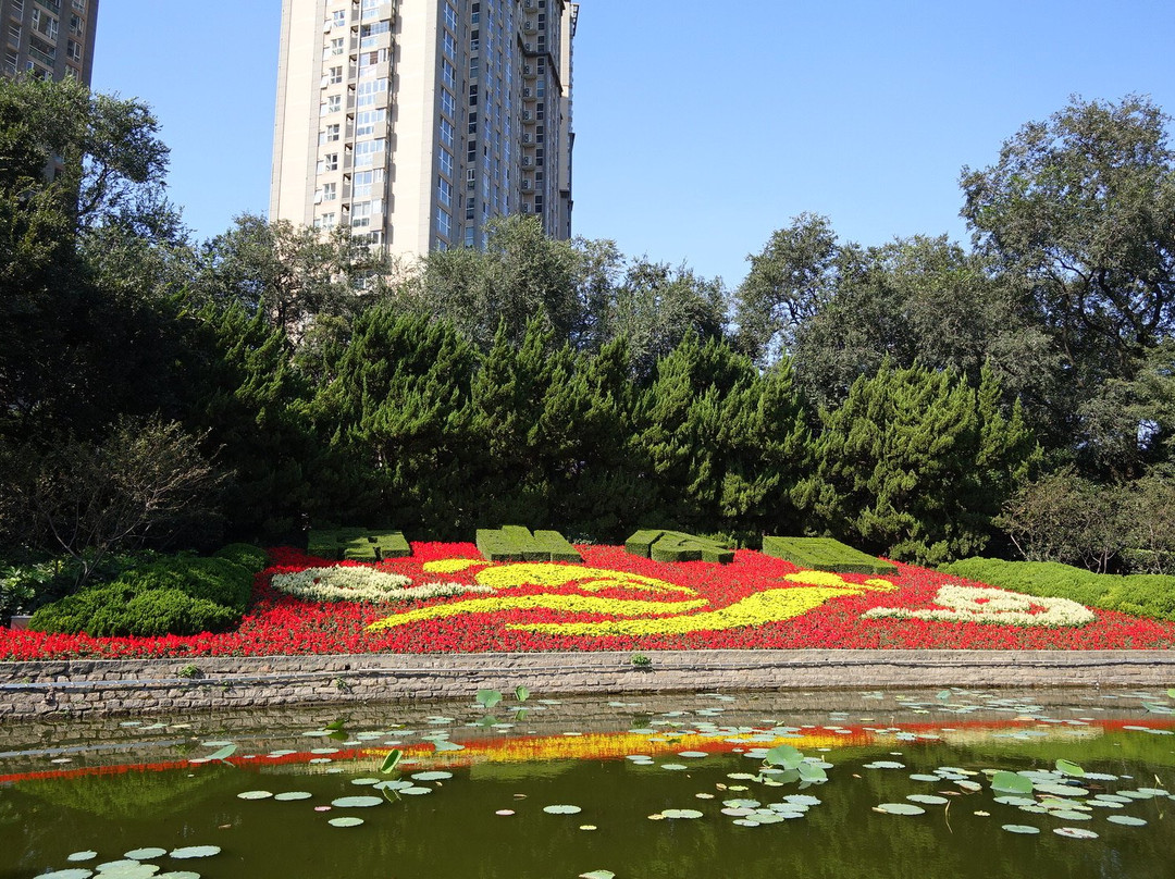 上海中山公园景点图片