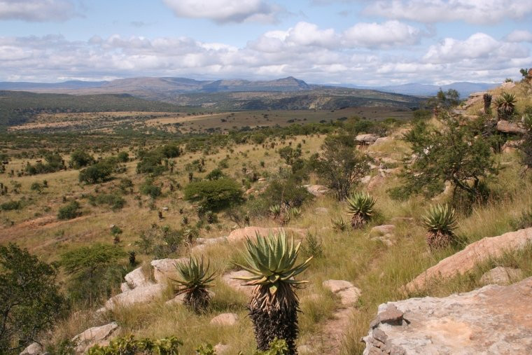 Rorke's Drift Tours景点图片