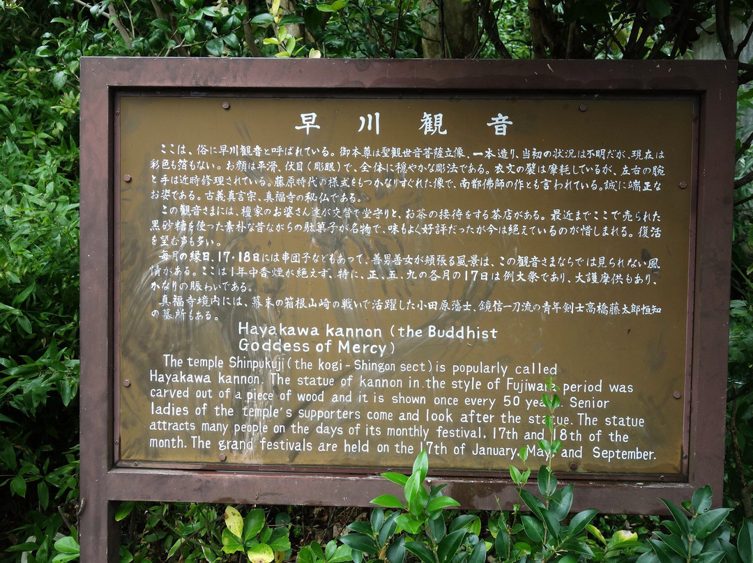 Shimpukuji Temple-小田原市必去景点