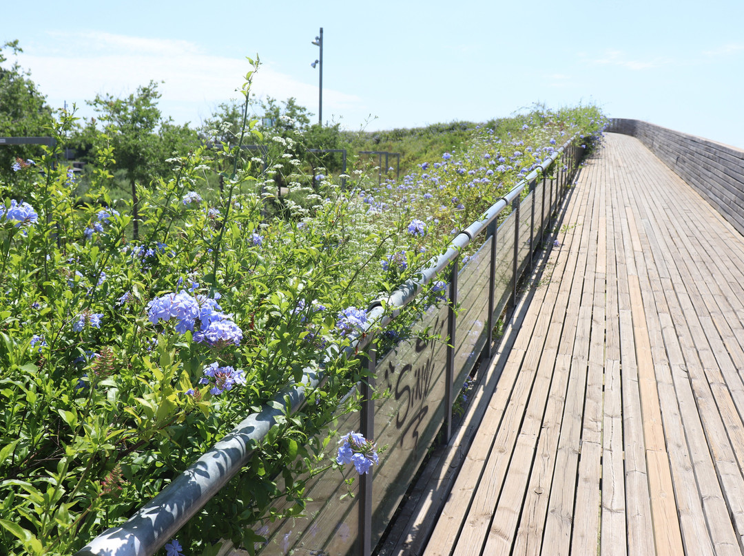 Parc de la Marina-比拉德坎斯必去景点